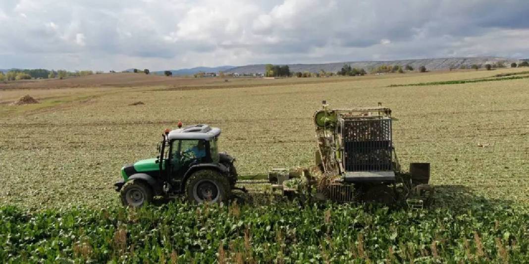 Sulama sistemi kuraklığın etkilerini azaltıyor, hasat sürüyor! 1 dönümden 5 ton ürün alınıyor: Üreticinin yüzü gülüyor 4